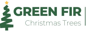 Green Fir Christmas Trees | Harrogate